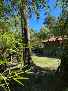 a house in the middle of a yard with trees at Casa 3 habitaciones in Tigre