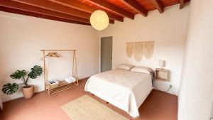 a bedroom with a bed and a potted plant at Refugio del Colibrí in Tepoztlán