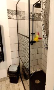 a shower with a glass door in a bathroom at les lauriers in Saint-Sernin +1 photo