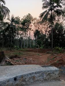 a view of a park with palm trees in the background at The Cool Cottage, Pool Extra, at gaya3farms in Palakkad