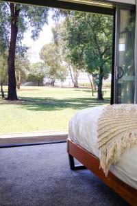 a bedroom with a view of a park through a window at Buller Wines in Rutherglen