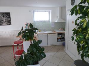 uma cozinha com uma planta, um lavatório e um frigorífico em Les chambres d'hôtes Joy em Val de Vesle