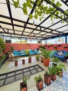 a greenhouse with potted plants in a building at Hotel Anauco in Bucaramanga