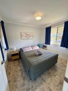 a bedroom with a large bed with blue curtains at Major Mitchell Caravan Park in Mitchell