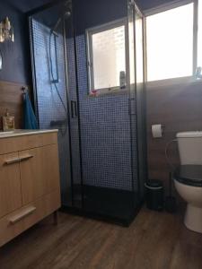 a bathroom with a shower with a toilet and a window at Blue House - two rooms in Almada