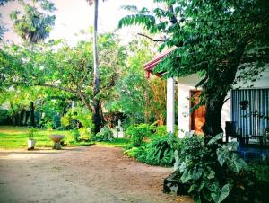 a yard with a building and trees and a dirt road at Hotel krish in Kalkudah