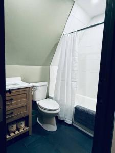 a bathroom with a toilet and a shower at Cedar Cove Cabin 5 in Butternut +7 photos