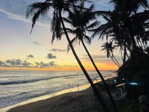 two palm trees on a beach at sunset at Pearl Kingdom Hotel & Resort in Matara