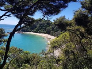 a view of a beach from a hill with trees at Matapouri Sanctuary Apartment in Matapouri