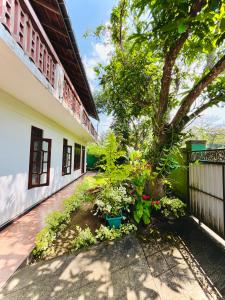 a courtyard of a house with a tree and plants at Zandeepa Homestay in Ahungalla