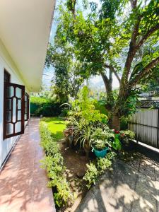 a garden with plants and a fence at Zandeepa Homestay in Ahungalla +12 photos