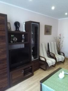 een woonkamer met een entertainmentcentrum met een flatscreen-tv bij Apartament Kasprusie 65m2 in Zakopane