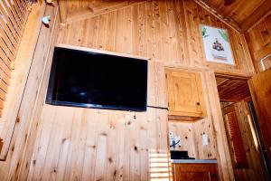 a wall with a flat screen tv on a wooden wall at Near Ski, Beaches, Pet Friendly, Full kitchen in South Lake Tahoe