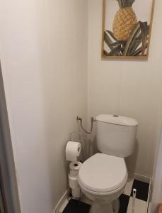 a bathroom with a toilet and a picture on the wall at Le gîte d'alfred in Prades