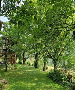 a park with trees in a grassy field at Le gîte d'alfred in Prades