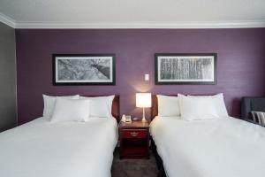 two beds in a hotel room with purple walls at Sandman Hotel & Suites Williams Lake in Williams Lake