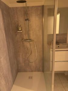a shower with a glass door in a bathroom at Gîte du CIrque in Chalons en Champagne