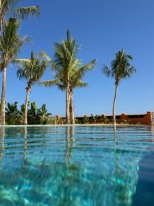 a swimming pool with palm trees in the background at Arabian Coral in Ḩaḑbaram