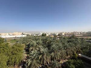 an aerial view of palm trees in a city at قمرة قباء Quba moon1 in Medina
