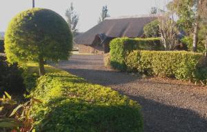 Fotografie z fotogalerie ubytování African Flair Country Lodge v destinaci Piet Retief