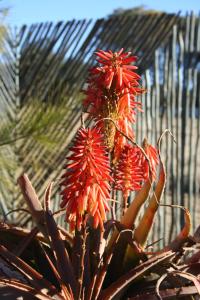 Fotografie z fotogalerie ubytování African Flair Country Lodge v destinaci Piet Retief