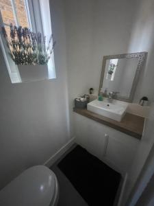 a bathroom with a toilet and a sink and a mirror at Artsy Minimalist Suite in Southend-on-Sea +13 photos