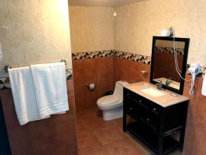 a bathroom with a toilet and a sink and a mirror at Camino de la Plata Hotel in Fresnillo de González Echeverría +22 photos