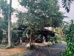 a building with a tree in front of it at Decoco Canal-side Homestay in Ban Khlong Duang