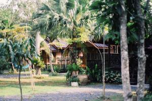 a house with palm trees in front of it at Decoco Canal-side Homestay in Ban Khlong Duang +14 photos