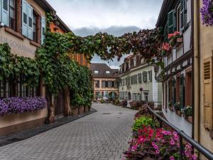 a cobblestone street in a town with flowers at Hotel Dalberg in Sankt Martin