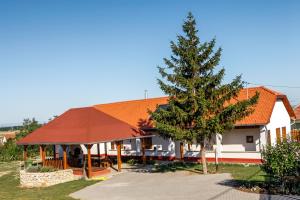 a house with a tree in front of it at Katica Vendégház in Tarcal
