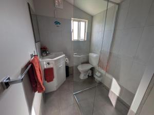 a small bathroom with a toilet and a shower at The Flat on Muddy in Moonta +30 photos