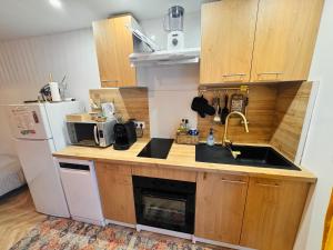 a small kitchen with a sink and a refrigerator at Gite du paradis in Le Luc +5 photos
