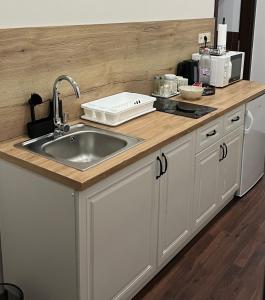 a kitchen with a sink and a counter top at Mohács Korona Apartman in Mohács