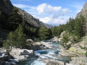 a river in the middle of a mountain at Casa di a Volpe in Corte