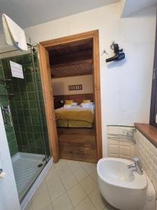 a bathroom with a shower and a toilet and a sink at Hotel Dente Del Gigante in Courmayeur +128 photos