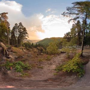 a dirt road with trees and the sunset in the background at Ferienwohnung PfalzRide in Annweiler am Trifels +6 photos