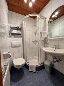 a bathroom with a shower and a toilet and a sink at Ferienhof Stanzl in Rappottenstein
