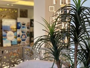 a potted plant sitting on a table in a store at Mass Paradise Hotel in Aqaba