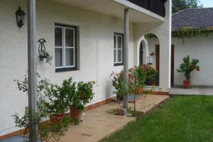 Zahrada ubytování Apartment Heidelinde