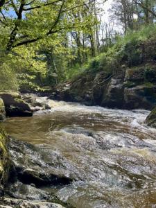 a stream of water with rocks and trees at AUX ABORDS DU PoT BOUILLANT in Cromac