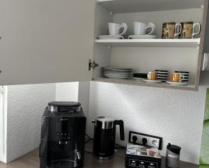 Dapur atau dapur kecil di WohlfühlQuartier Hückeswagen