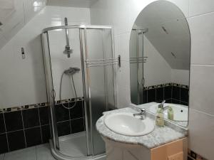a bathroom with a sink and a shower with a mirror at Le Bollwiller Piscine Jacuzzi Vignoble in Bollwiller