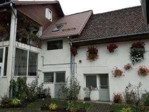 a white house with flowers on the windows at Vila Nely in Râşnov
