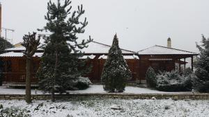 Xylino Chalet v zime