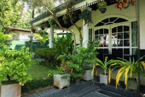 a house with a lot of plants in the yard at Dehiwala Holiday Villa in Dehiwala