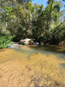 a stream of water with trees in the background at EcoCamping Jacaré in Baependi +17 photos