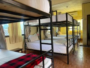 a group of four bunk beds in a room at Easy go backpacker hostel in Vang Vieng