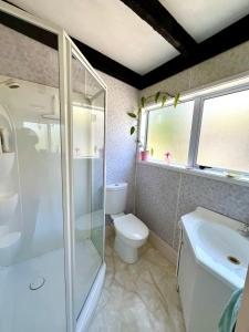 a bathroom with a shower and a toilet and a sink at Charming homely Cherry Villa B&B with a panorama view in Paraparaumu +28 photos