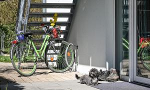 a dog laying next to a bike parked next to a building at Apartment mit überdachter Terrasse 7 7 EG in Friedrichshafen